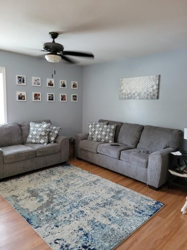 Gray living room with two sofas, decorative pillows, a rug, and wall art.